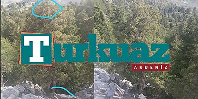 Fotoğraf çekmek için çıktığı ağaçtan düştü, hayatını kaybetti