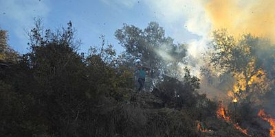 GAZİPAŞA ANIZ YANGINI