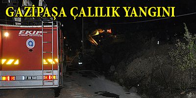 GAZİPAŞA ÇALILIK YANGINI KORKUTTU