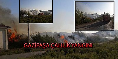 GAZİPAŞA ÇALILIK YANGINI