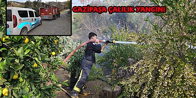 GAZİPAŞA ÇALILIK YANGINI 