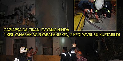 Gazipaşa’daki ev yangınında, 1 kişi yanarak ağır yaralanırken, 2 kedi yavrusu kurtarıldı