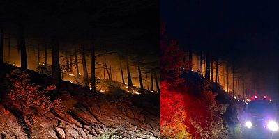 GAZİPAŞA ORMAN YANGINI 