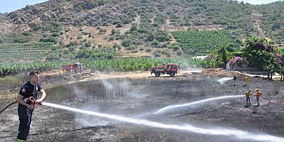 GAZİPAŞA OTLUK YANGINI