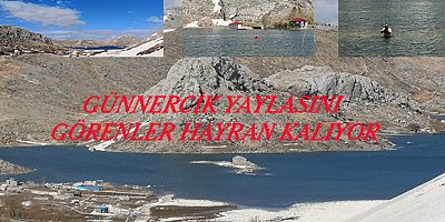Günnercik yaylasını görenler hayran kalıyor