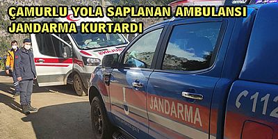 HASTA ALMAK İÇİN GİDİP, YOLDA KALAN AMBULANSI JANDARMA KURTARDI