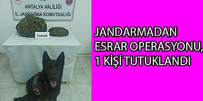 JANDARMADAN ESRAR OPERASYONU, 1 KİŞİ TUTUKLANDI 