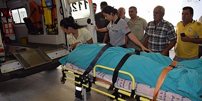 Muz serası üzerinde elektrik akımına kapılan işçi yaralandı