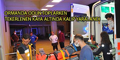 ORMANDA ODUN TOPLARKEN TEKERLENEN KAYA ALTINDA KALIP YARALANDI