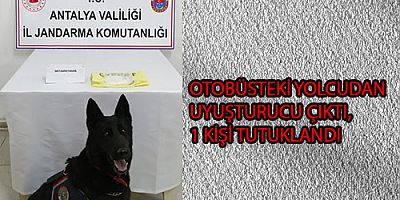 OTOBÜSTEKİ YOLCUDAN UYUŞTURUCU ÇIKTI, 1 KİŞİ TUTUKLANDI
